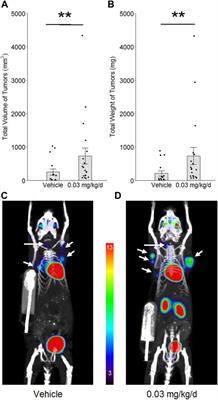 Low-dose exposure to PBDE disrupts genomic integrity and innate immunity in mammary tissue